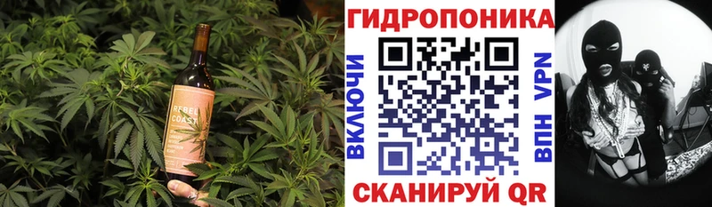 shop формула  Белёв  Canna-Cookies конопля 